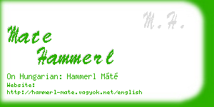 mate hammerl business card